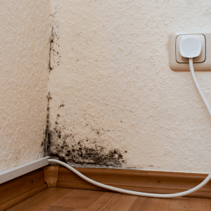 esquina con moho por humedades