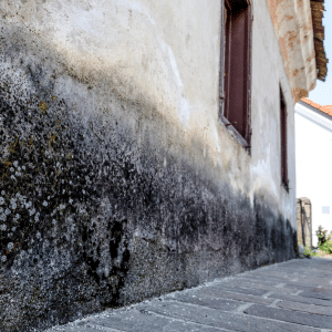 humedades por capilaridad en muro exterior